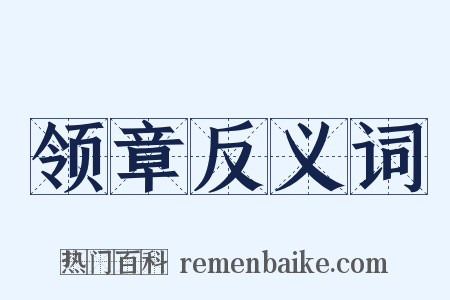 领章反义词是什么意思的图片